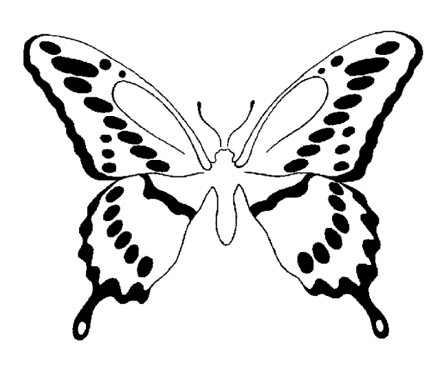 Farfalle 10