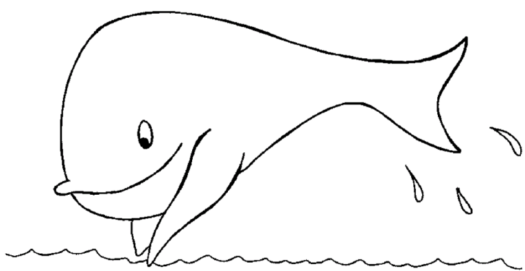 Balene 2