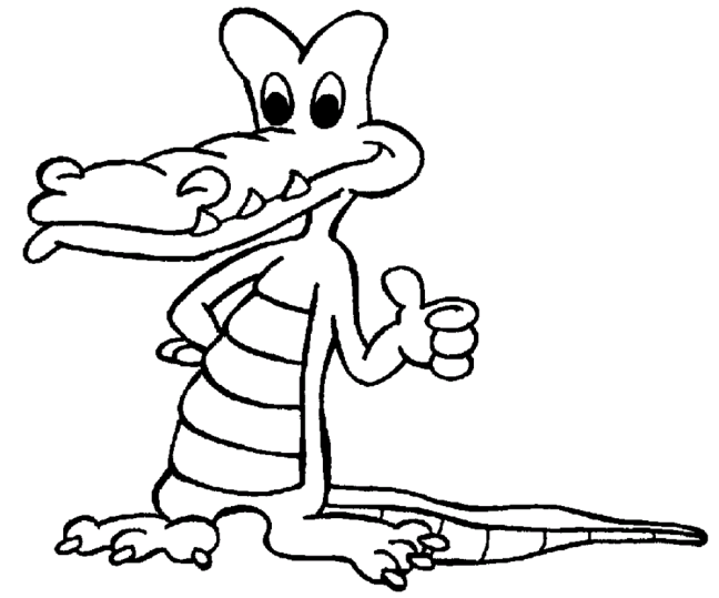 Alligatori & Coccodrilli 5