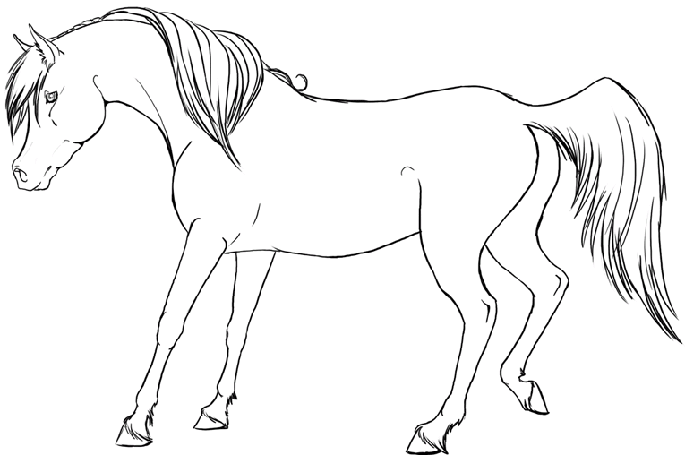 Cavalli 27