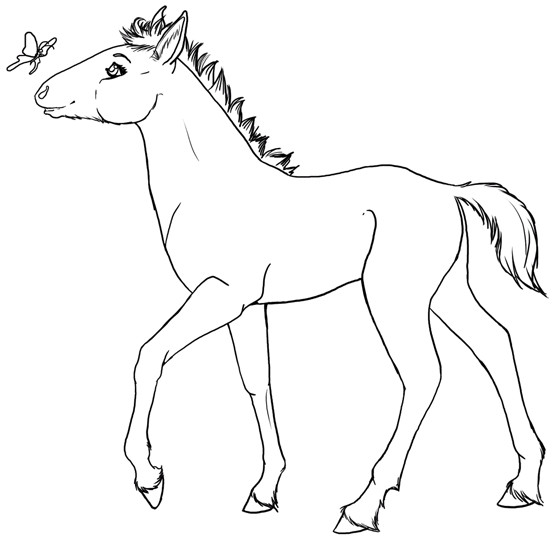 Cavalli 28