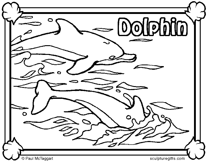 Delfini 13