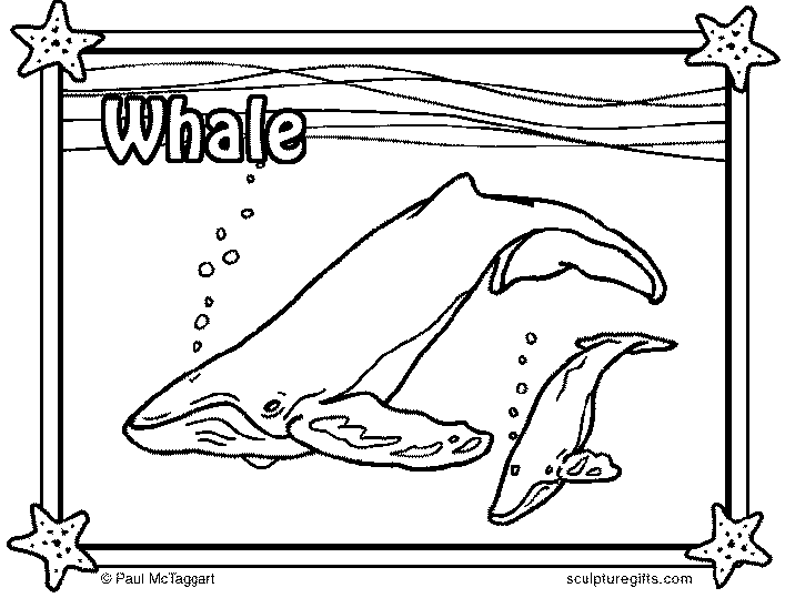 Balene 3