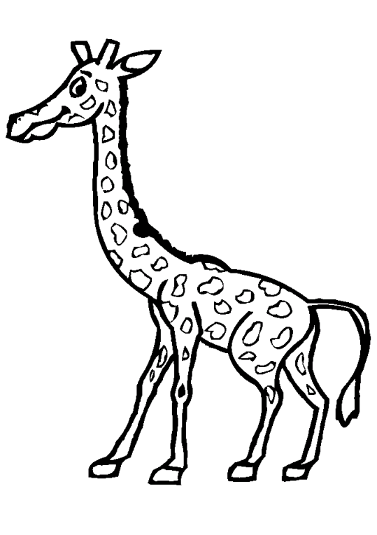 Giraffe 12 Disegni Da Colorare 24