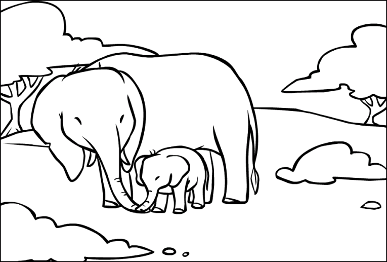 Elefanti 10