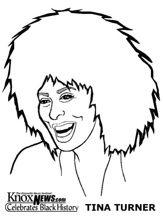Musicisti Famosi Tina Turner