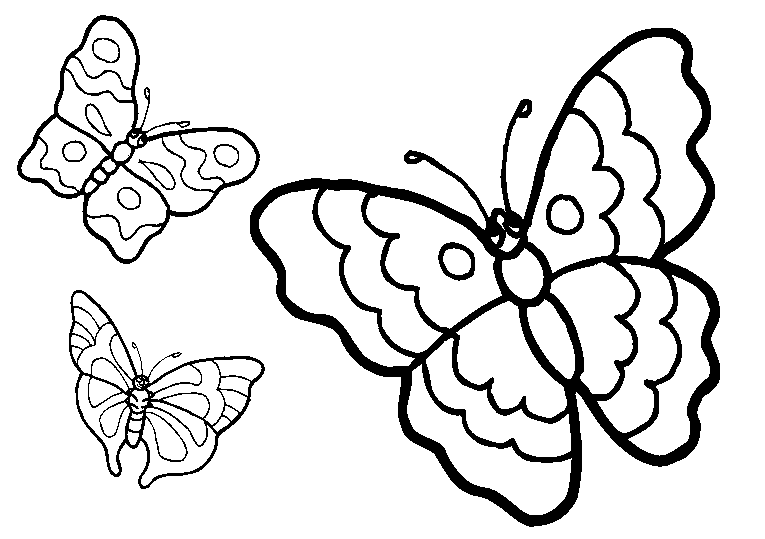 Farfalle 18