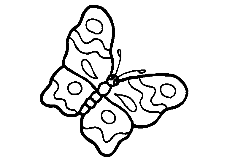 Farfalle 19