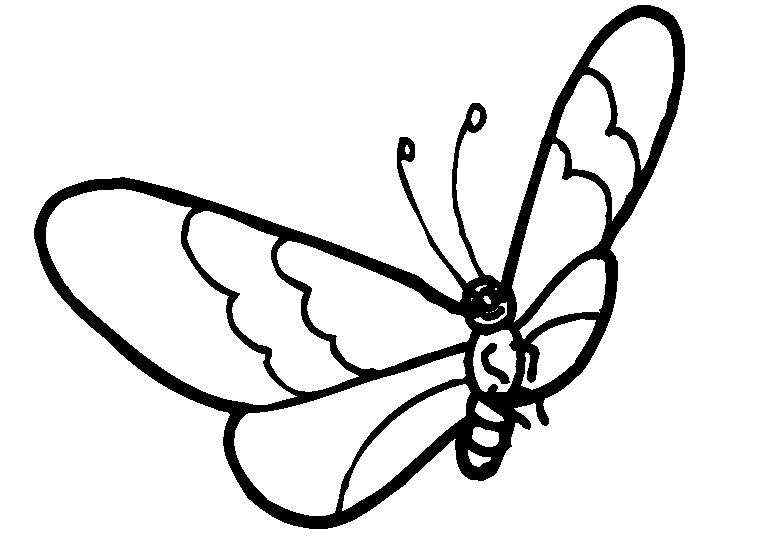 Farfalle 20
