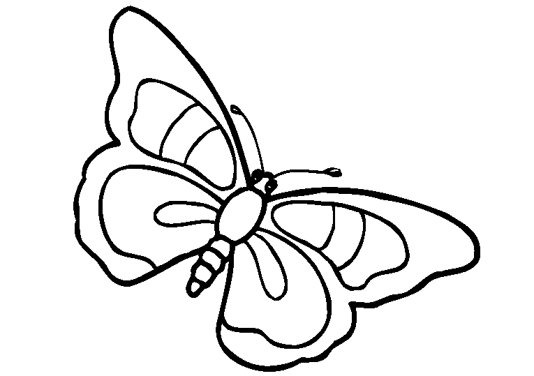Farfalle 21