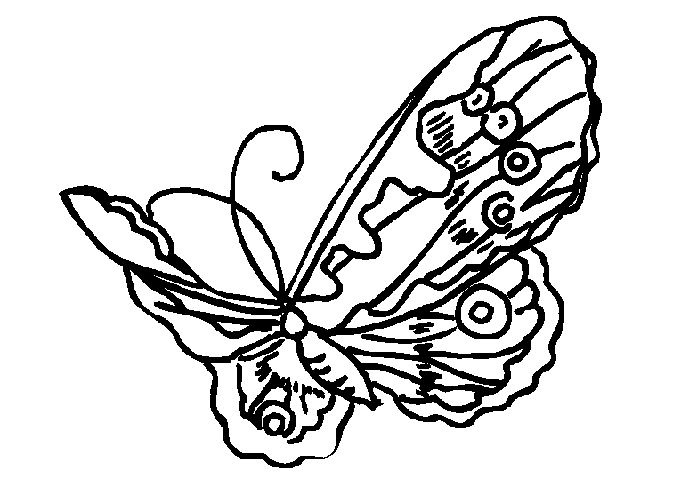 Farfalle 31