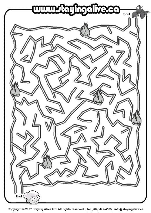 Labirinti 55