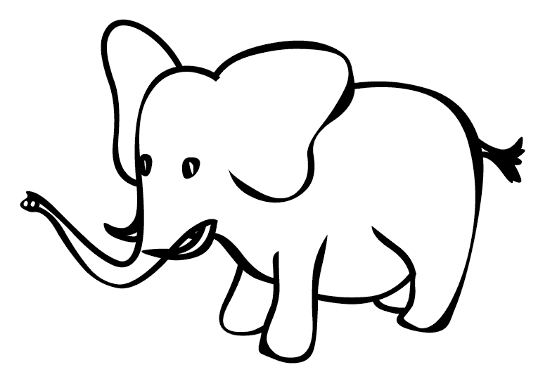 Elefanti 11