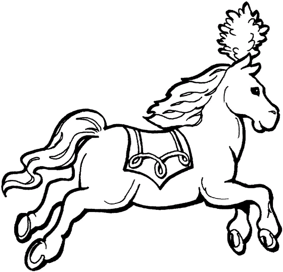 Cavalli 34