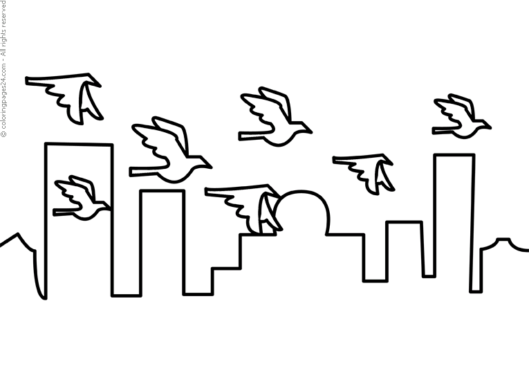 Uccelli 17