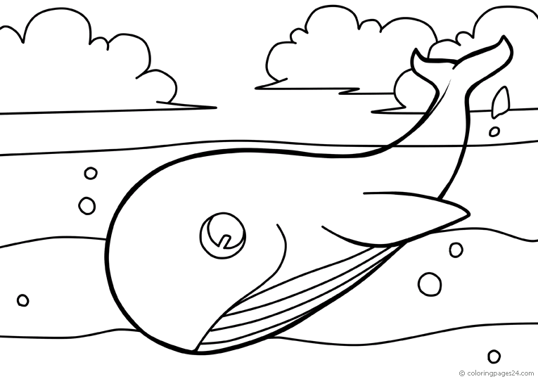 Balene 7