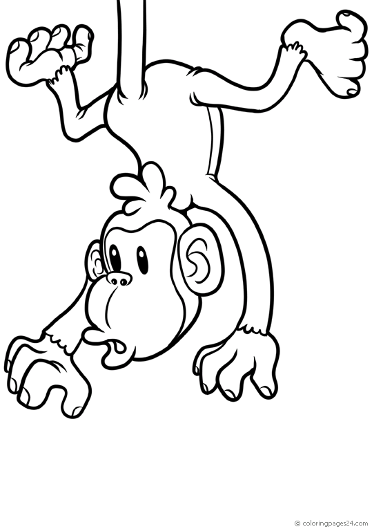 Scimmie 36