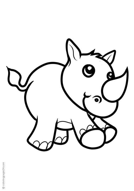 Rinoceronti 6