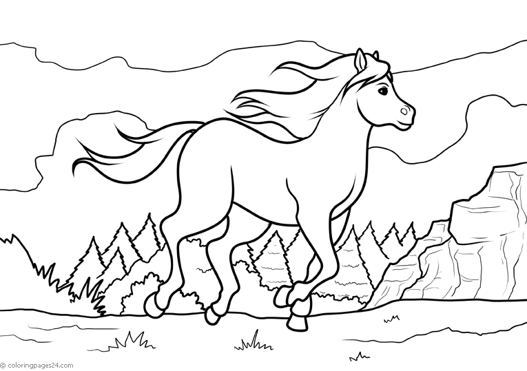 Cavalli 64