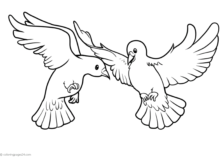 Uccelli 25