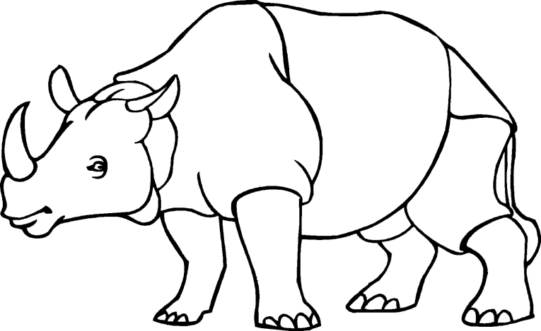 Rinoceronti 1