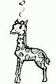 Giraffe - 3