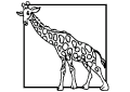 Giraffe - 7