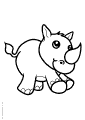 Rinoceronti - 6