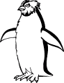 Pinguini - 1